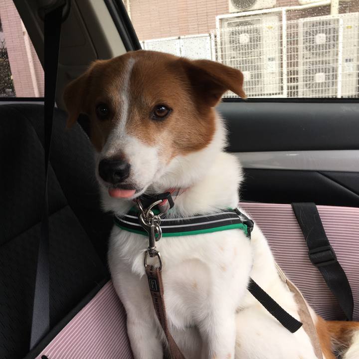 Daf8414f c8e6 4723 9b18 898a14b25af5