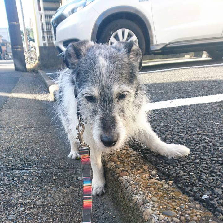 Daf85433 9365 4945 b438 cf4b0f139392