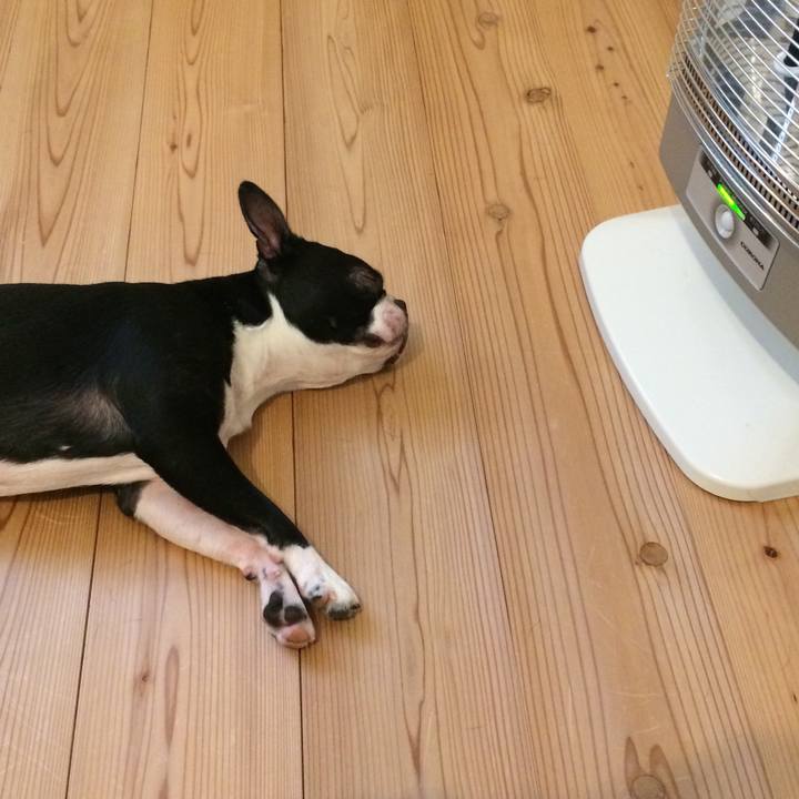 Daf8d972 6de6 40c3 b77e 6ef6f7044ee4