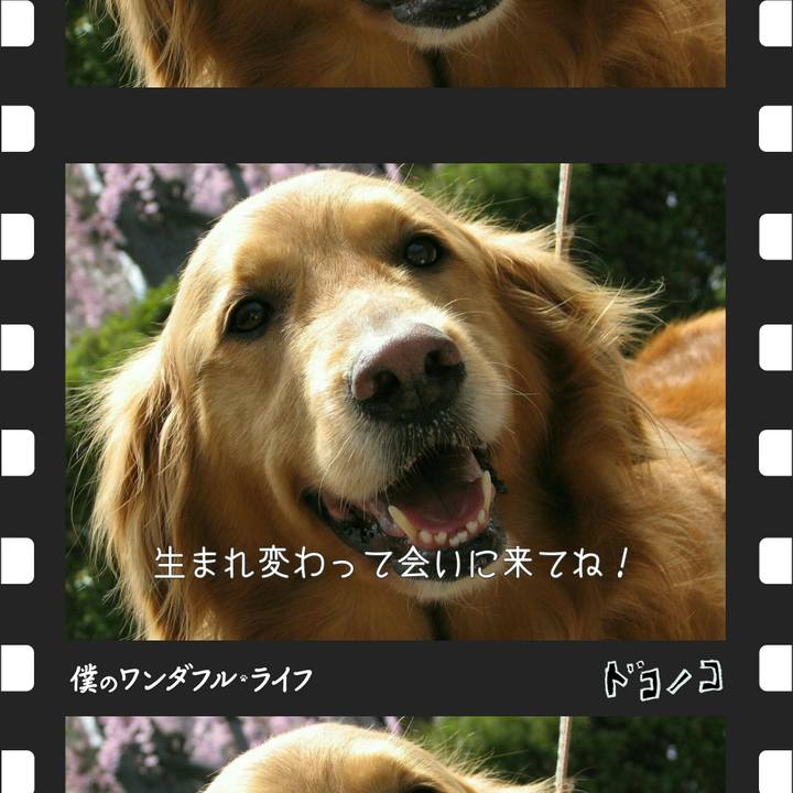 Daf8ece2 e1f0 42f2 834f ae41e56787e1