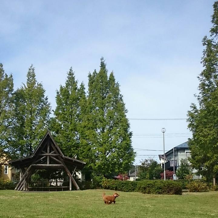 Daf94c70 bb09 4f88 86a9 6abd856ce1b1