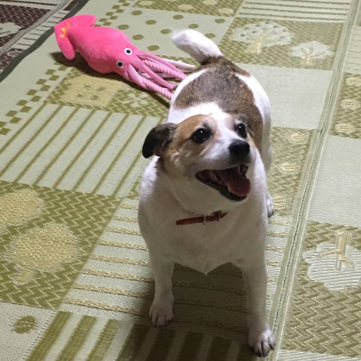 Daf9dc4d 08aa 4011 adc8 7fa294c63c51