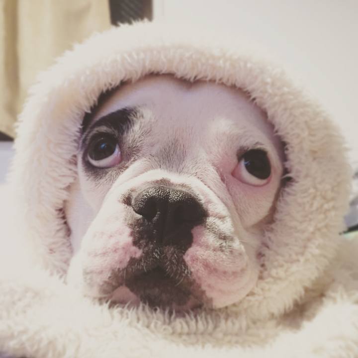 Dafa21e7 14ad 41b6 8a2e 762ff1e223c4