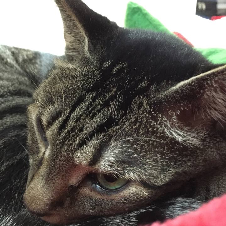 Dafa437f eca9 4722 a2a4 09de2000fc53