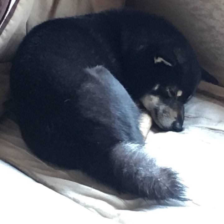 Dafa664f 50bc 4d88 94e0 7a5b89ab7eff