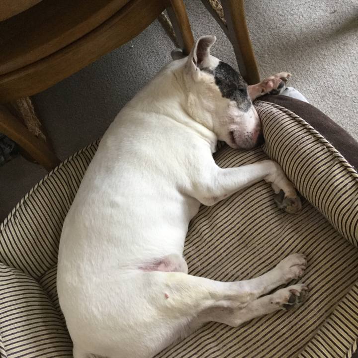 Dafa72bb 87d7 4367 b8e4 e15e67590cbf