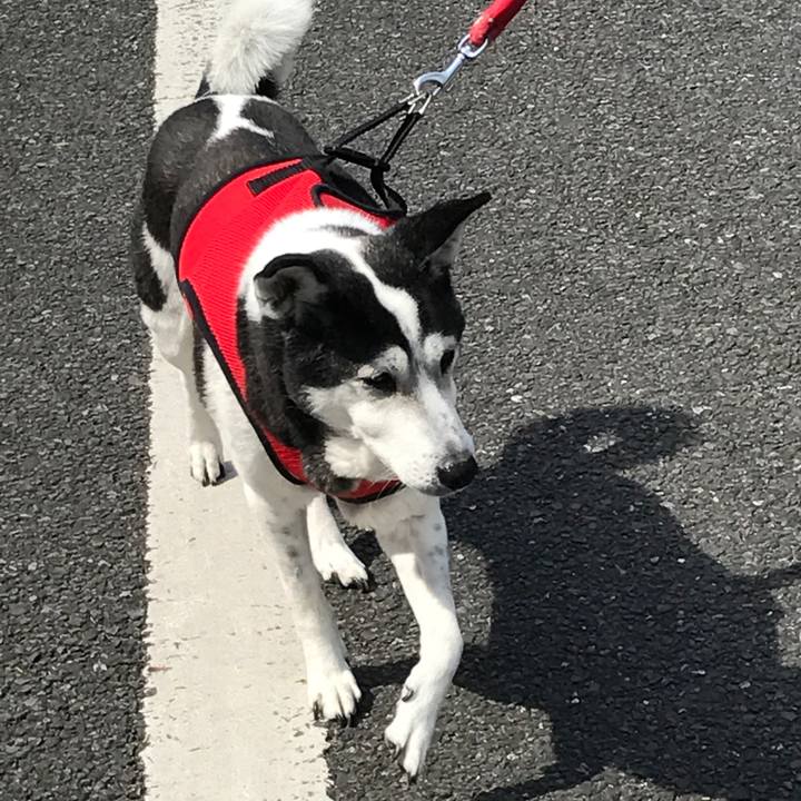 Dafa8811 23b3 43b0 823a a59380c34086