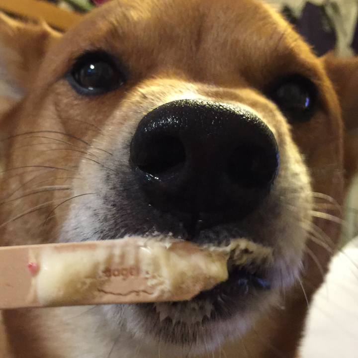 Dafb3088 23b2 4eec bb9f 3fb7397497c3