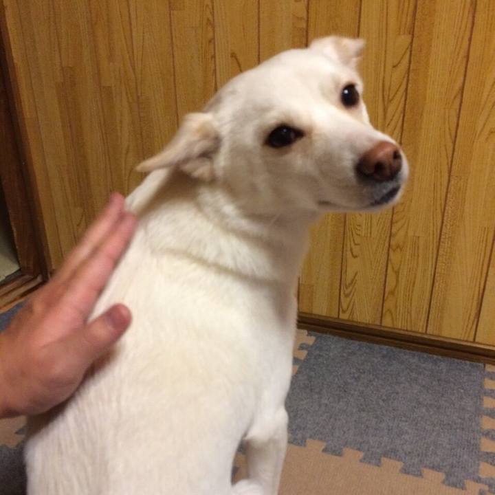 Dafb3b4d b34c 4e7b b1fe 71a72821dac0