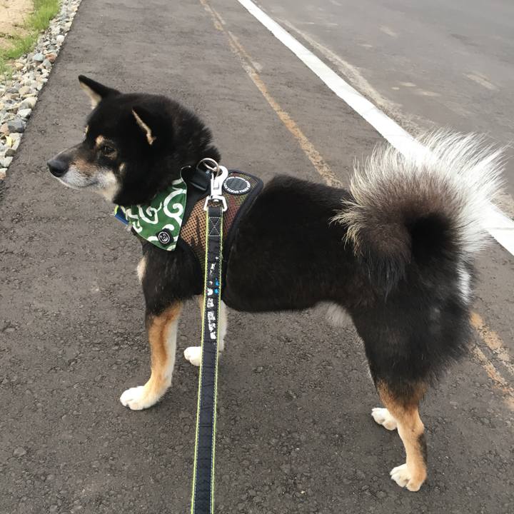 Dafb3be1 2af7 4940 92dc e8c83f3f12dc