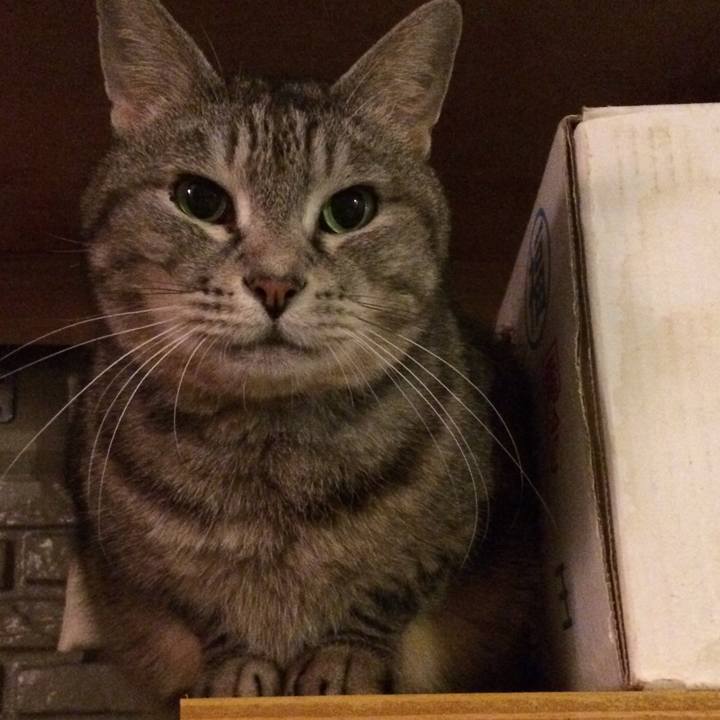 Dafb76b1 3156 4caf 9be9 2b98934b621e