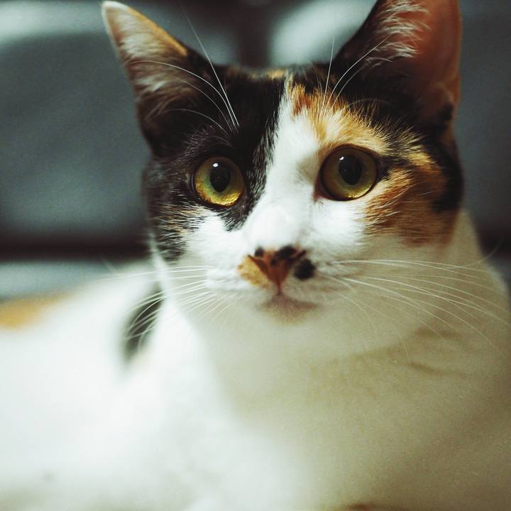 Dafb8db1 1e27 4fe1 a181 f39f5f43e2c1