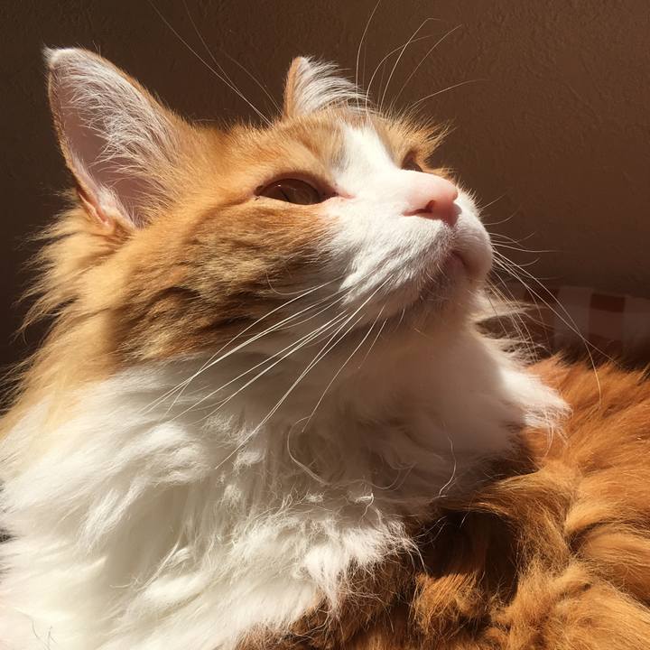 Dafbec2f 93cb 4d6a b2b4 9eafffed0a77