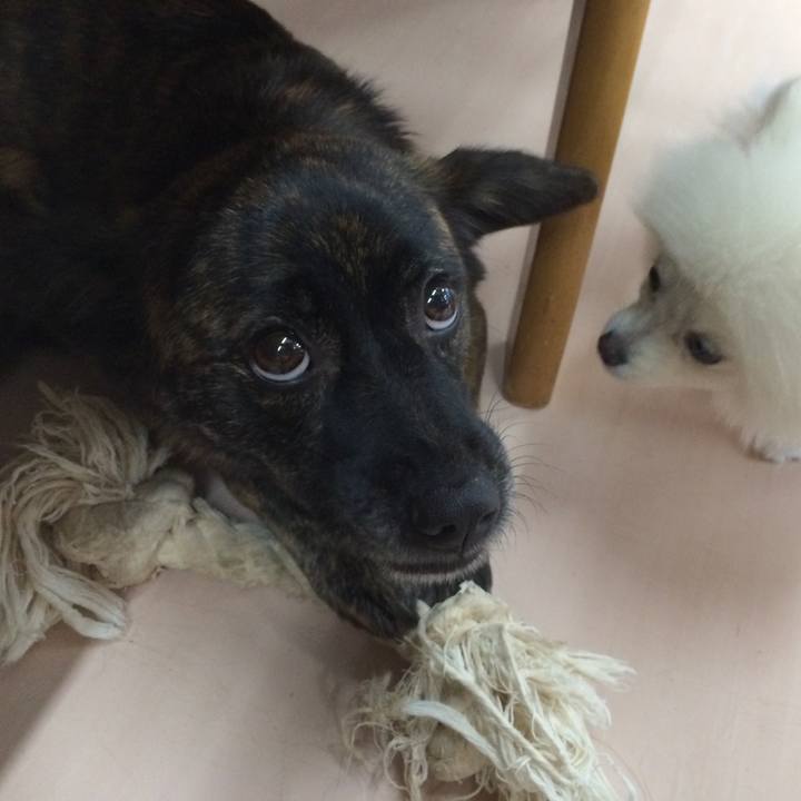 Dafc122d 7e7f 4c1d baa3 f67a38d5ad0c