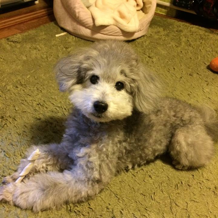 Dafce3e8 6a9c 4b0b be0d 45cc8c44c913