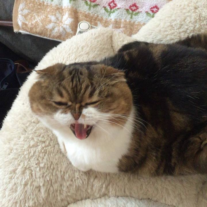 Dafd3797 fe55 4bea 8a88 54a01f0e2549