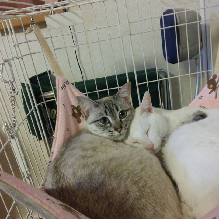 Dafe1bed b20e 4fed 8f8c fcfe68170ef9