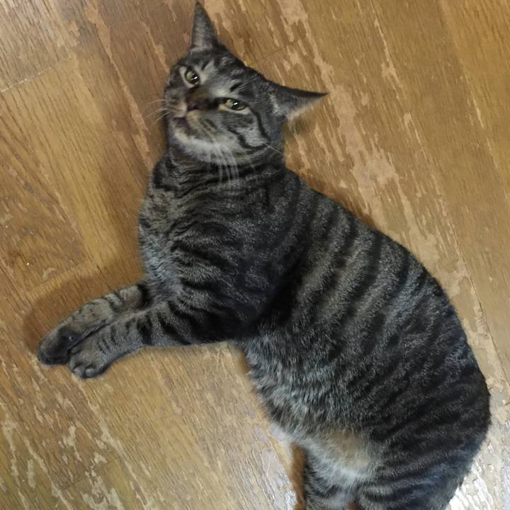 Dafed9bc eb36 452f ab31 8c1858debdc2