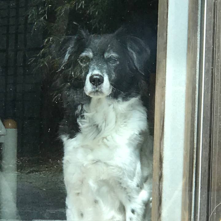 Dafee759 671a 4666 bdf2 dac10a075874