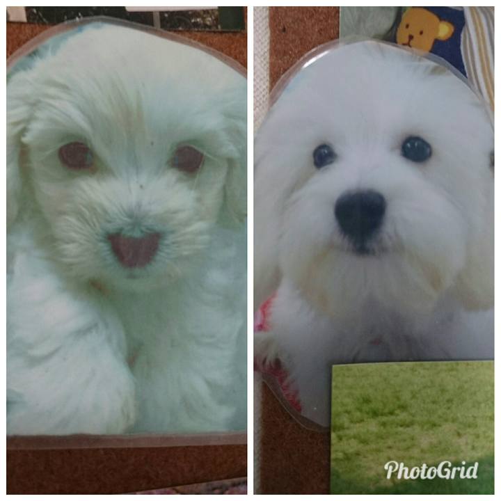 Db0099e6 520b 43bf 8a9a 4ba28cddad38