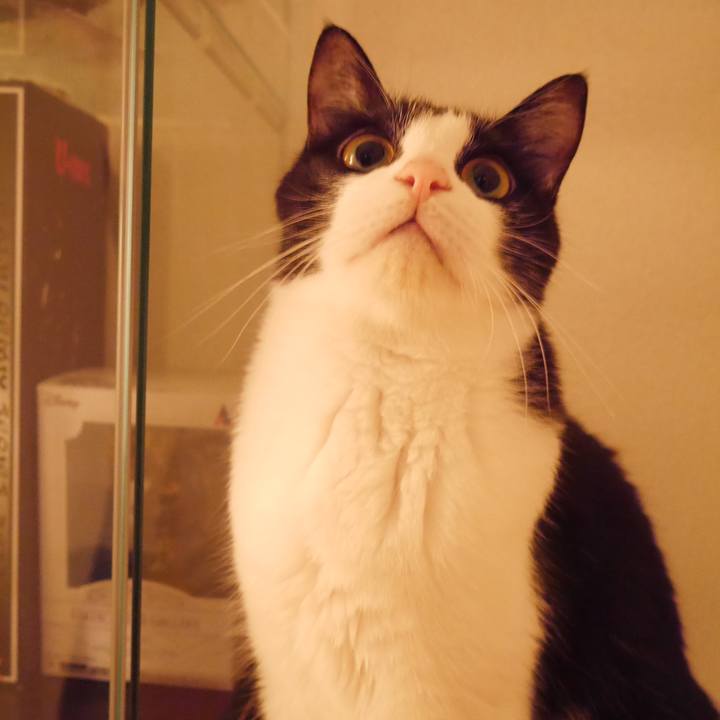 Db013e41 451d 4083 b2ac f13508703e4e