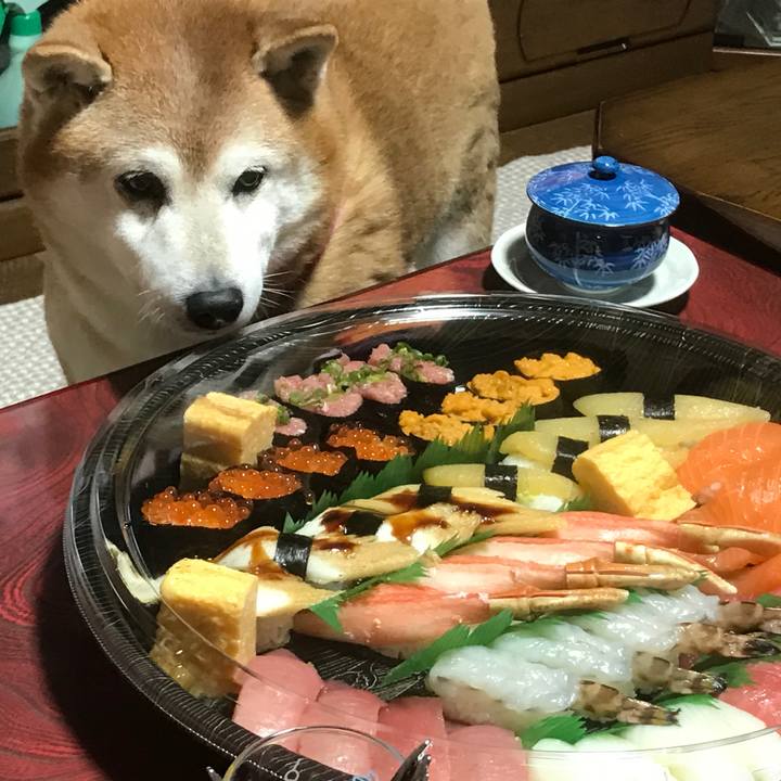 Db016b2a dba4 45c9 9dd4 b65fc24614c6