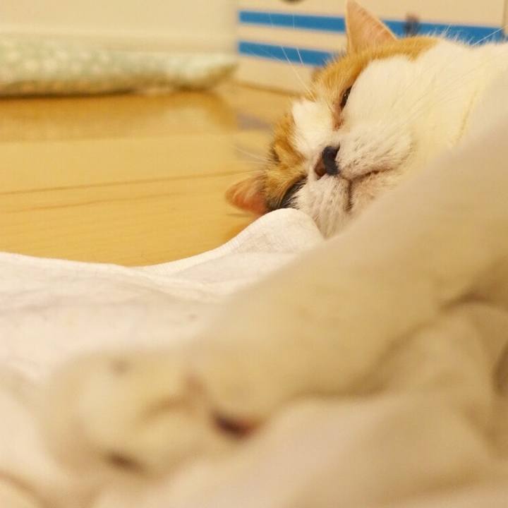 Db0228c8 f676 4c86 896e 967a9a41dc2e