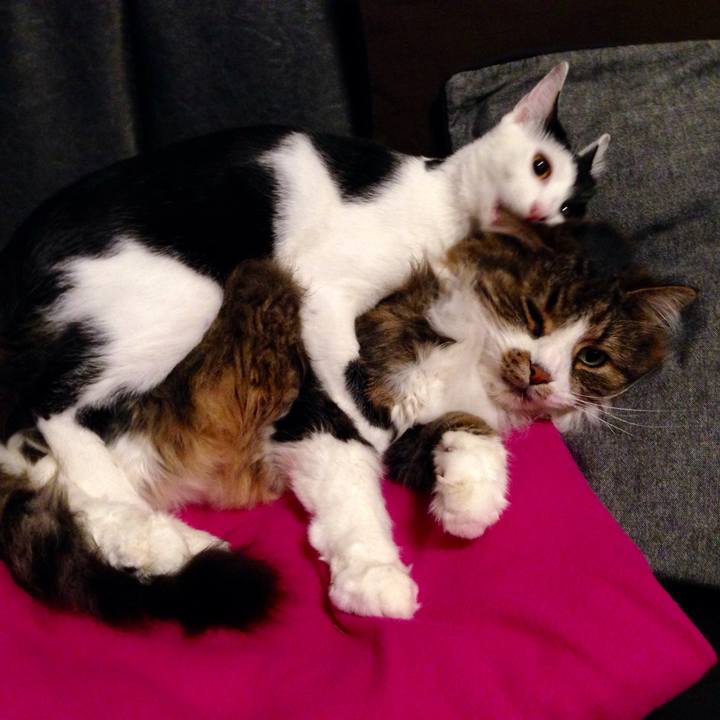 Db0271a5 dd08 4660 916d 9bd9c44013ad