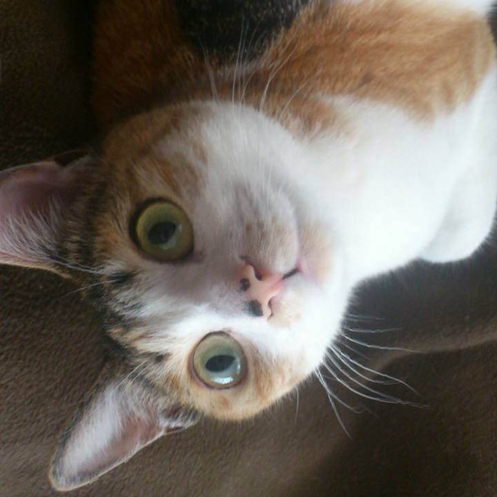 Db02c225 6363 4c48 895b 522da0b06e9f