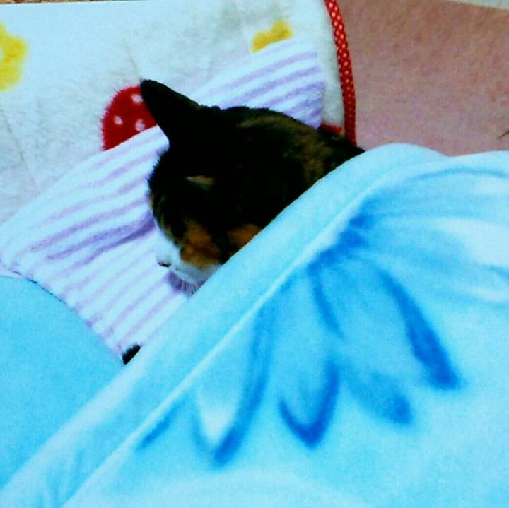 Db03040b 80b0 47ff 8787 58c35ae50204