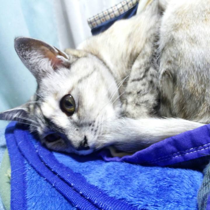 Db03d916 024a 42c0 8dc7 91e82ff7d958