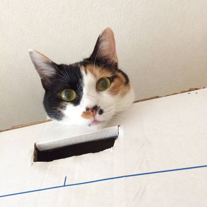 Db04a712 55a1 49b9 ad45 86cb86ed2b91