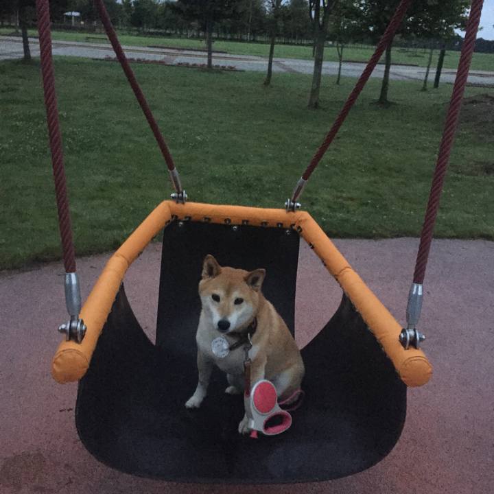 Db04dddb 3b2b 4e24 995f 7bc10f7594fa