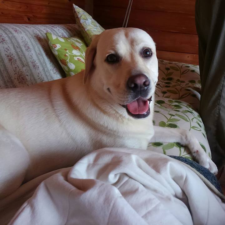 Db05465a fc62 4d77 9528 bcc6848661e0