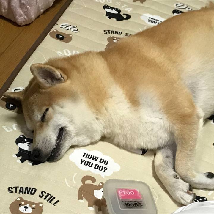 Db06528f 1df2 447e 88c8 33a95be9572c