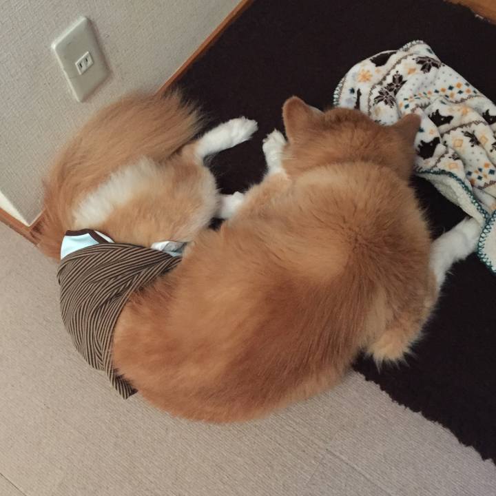 Db06d2ba 469f 4717 a113 bc14e73e62fe