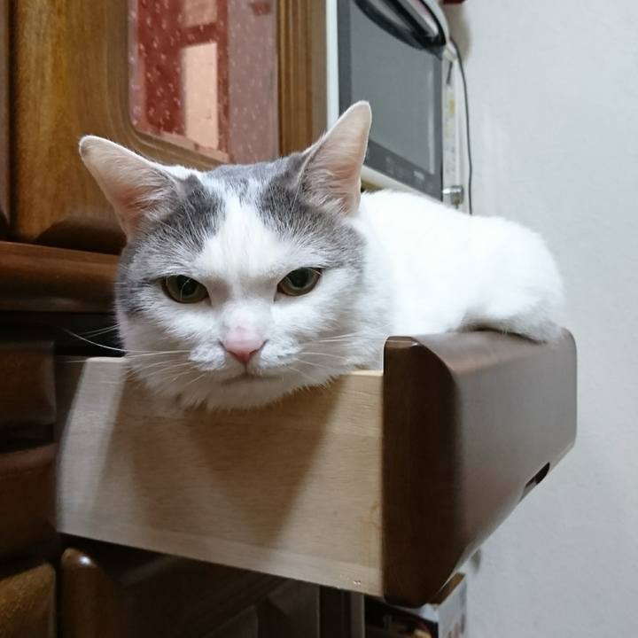 Db0707cc 43ad 4b5e adaf 3dca421b4a4b