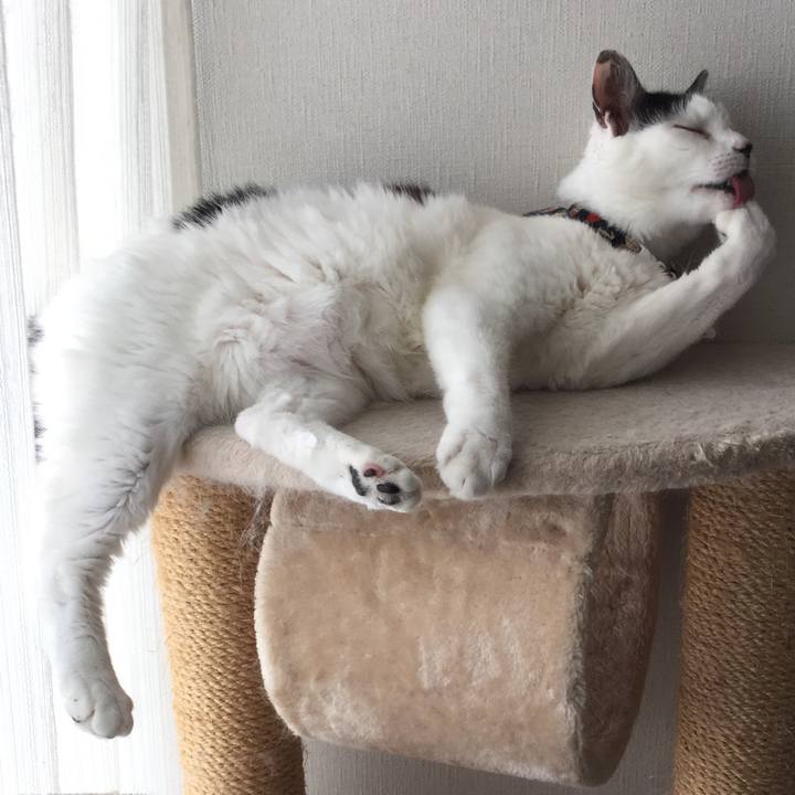 Db076c1d f436 47d9 927f bdec044be4ed