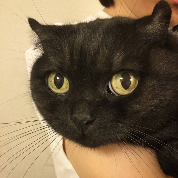 Db078324 a3d7 44e8 933c 400795b02aa8