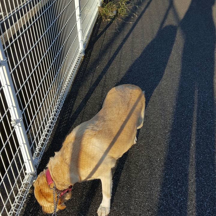 Db07886c ebb1 40bc 8488 ad7be9b4d69d