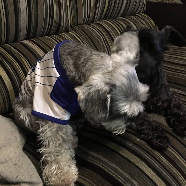 Db08eaec 96d7 4516 a5df 933d7b251352