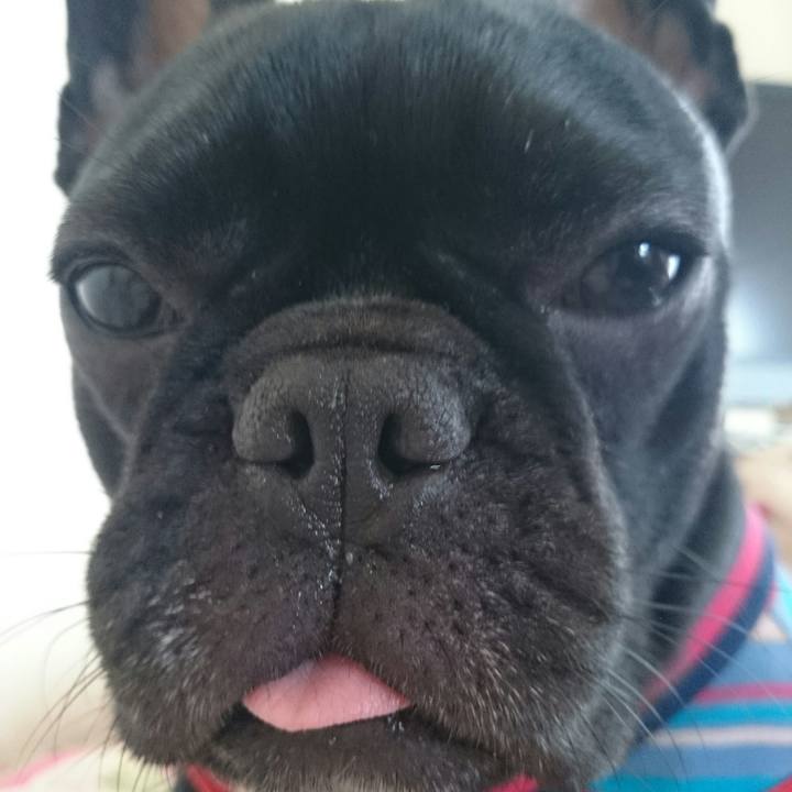 Db08fbb9 c0e2 4f3b a7d4 3fe45bb21733