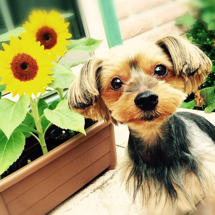 Db0a481b bae4 4616 acbc 0c7a81e0e545