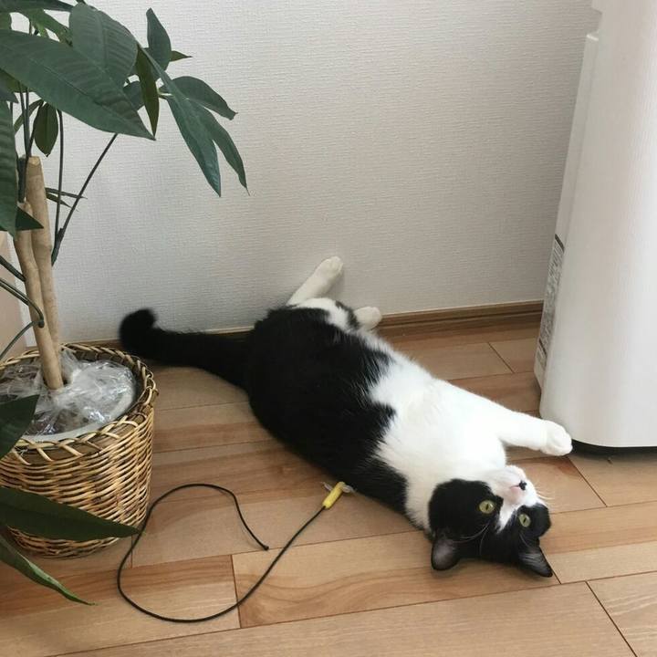 Db0abd11 caef 46e4 be9b f7d4ec2f7c05