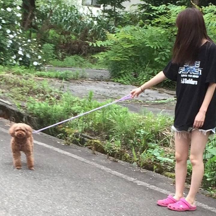 Db0b38d7 82a2 4748 88fa b40f576b83c0