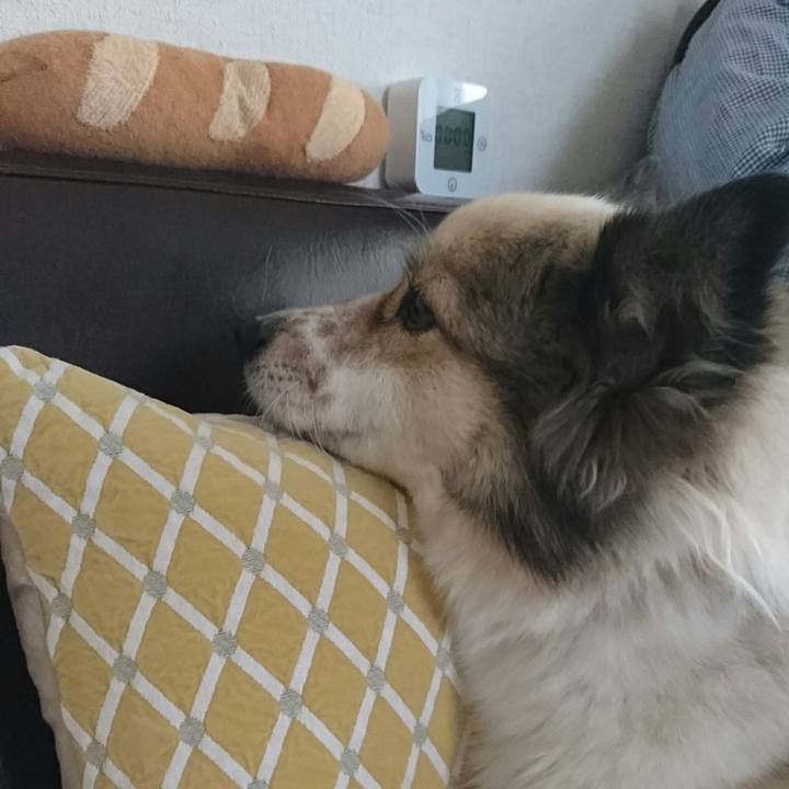 Db0c87e8 fe71 4578 aa35 0b3be16d47ae