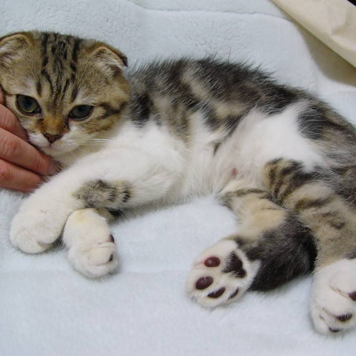 Db0c8c30 77c5 4975 afd0 14a4588b886e