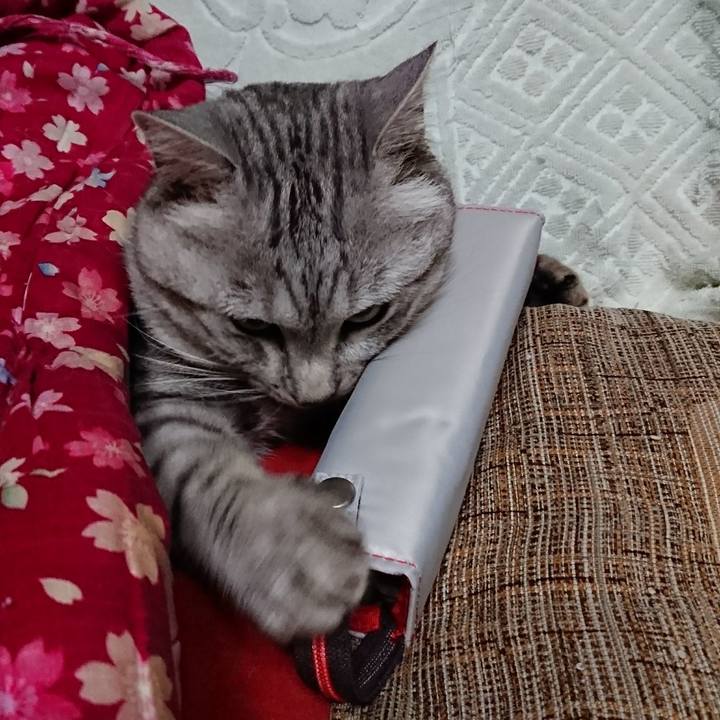 Db0d1bcf 048b 4623 af9a 205b07123d3d