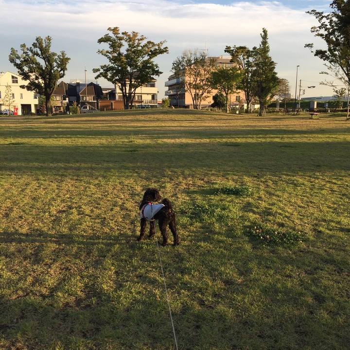 Db0df1ad 5042 40af 97d1 09f10621ae0f