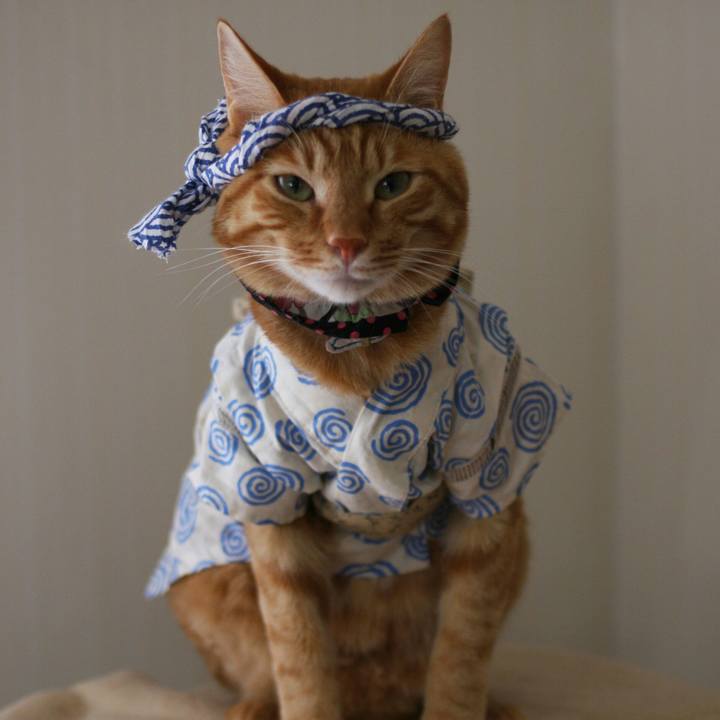 Db0e2332 d59d 4462 aa09 638dec97df98